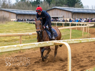 BP210325-47 - Squire Danagher